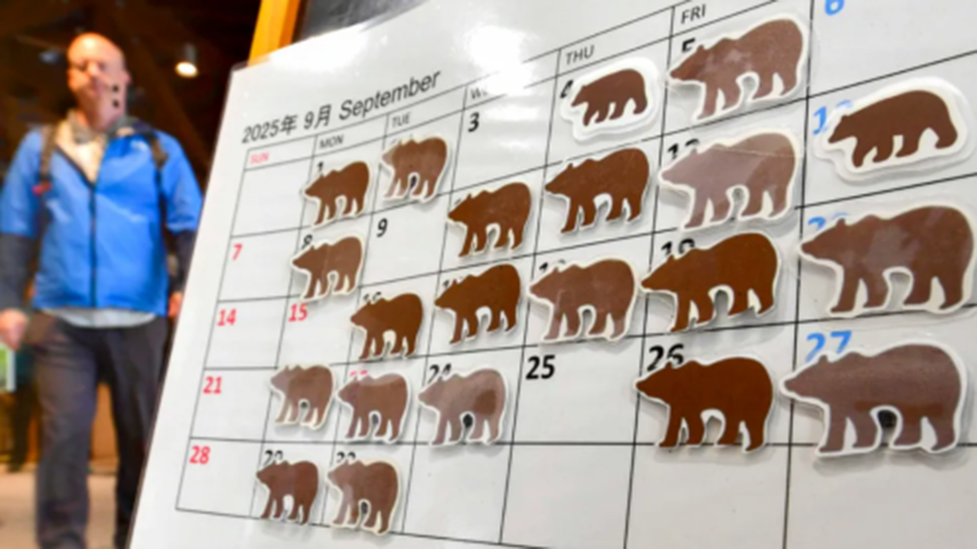 奇事！熊出没事件高达2万起，在日本遛个弯，就能和熊擦肩而过 上半年闹米荒的日本，又惹上了熊灾，每天上