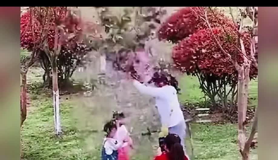 一个女子，为了给孩子拍照营造浪漫的落英缤纷的氛围，使劲摇晃花树，花瓣纷纷掉落，小