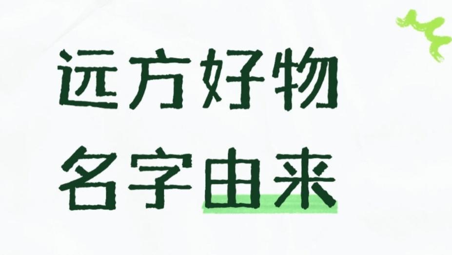 远方好物的名字是怎么来的？一份源自东方生活美学的答卷