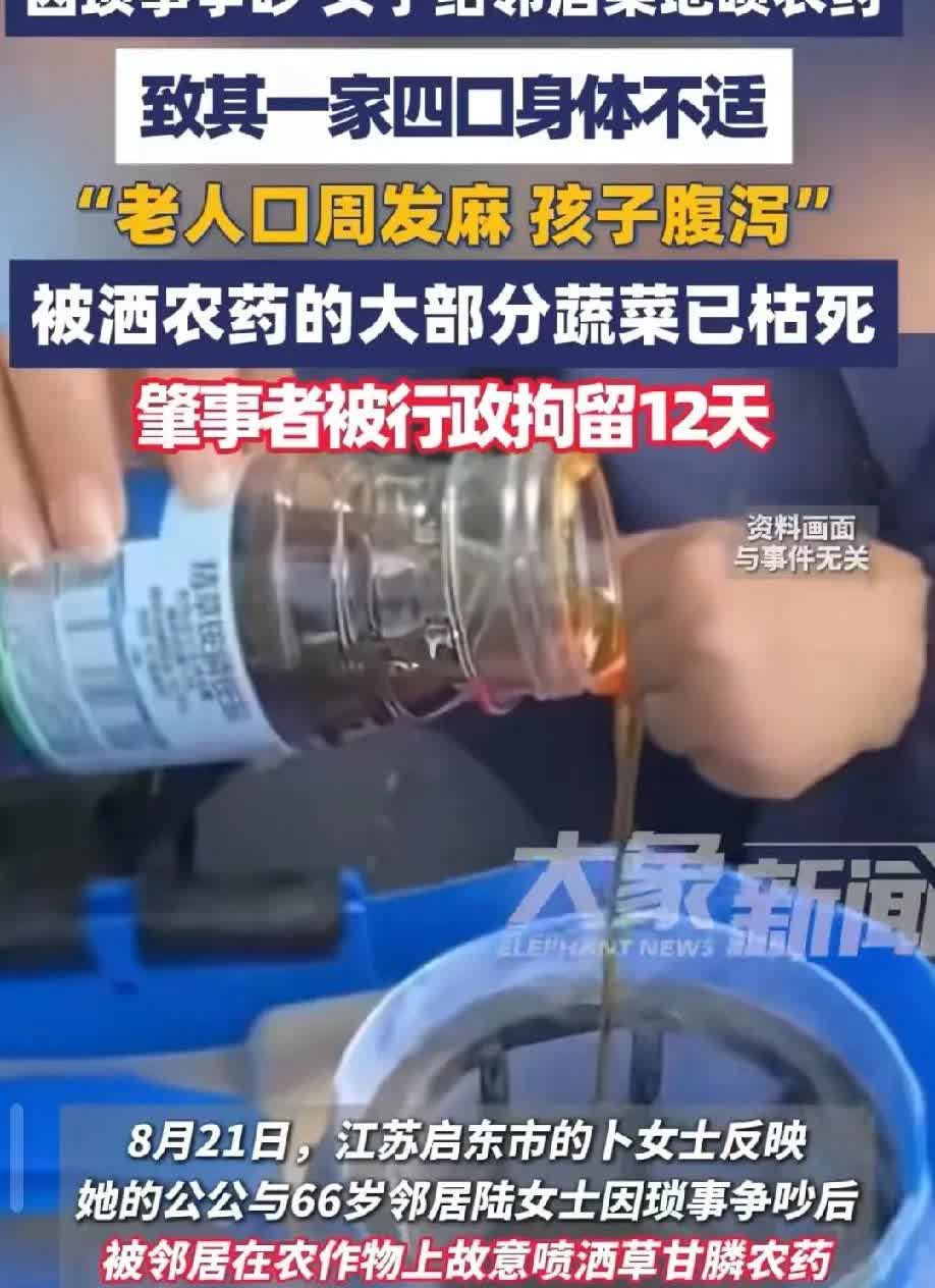 “这老太太就是在杀人!”江苏启东，女子的公公因琐事与一66岁的邻居老太太发生了争