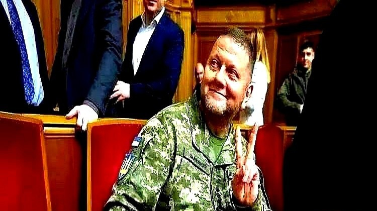 乌军吐槽美军误导情报











这事儿听着就离谱！乌克兰大使和前总司