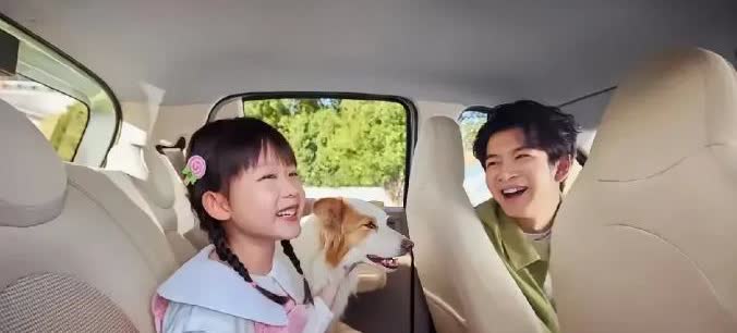 一觉醒来惊奇万分，欧盟对中国电动汽车又出新招！特斯拉中国关税降至7.8%，吉利汽
