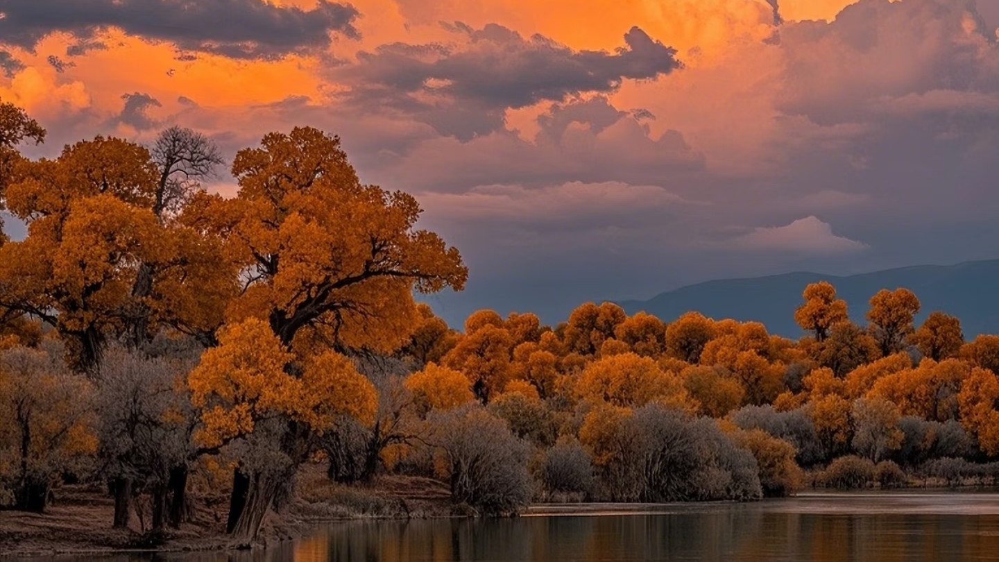 情人终其一生，不过是寻一份无需伪装的舒服