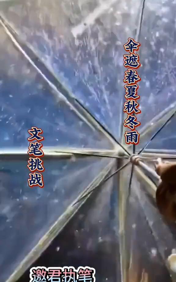 伞遮春夏秋冬雨。
文笔挑战，邀君执笔。
