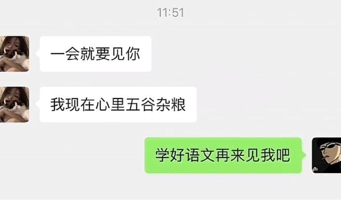 所以本来应该是什么成语的
