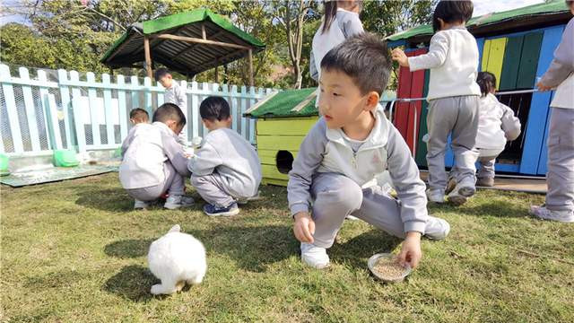 岭南冬如春，童趣蝶翩跹，学子来到佛山卡玛花世界开启蝴蝶研学