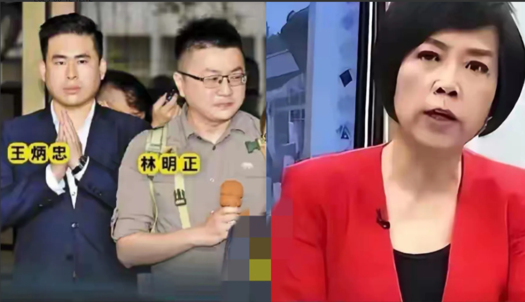 孰是孰非呢？因为馆长，岛内统派再次分裂。
她一边在脸书发文，一边翻出旧年录音档，