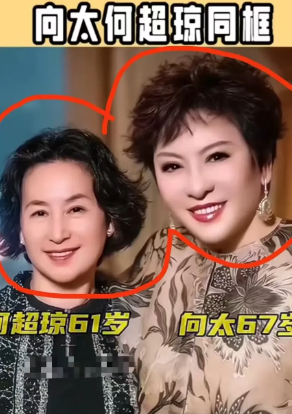 实在是没看明白
何超琼这是36计哪一计呢？

竟然让自己名下的赌场，起诉向太的大