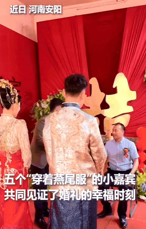 阳光透过蓝天洒下温暖的光芒，在河南安阳的婚礼现场，空气中弥漫着鲜花的香气与幸福的