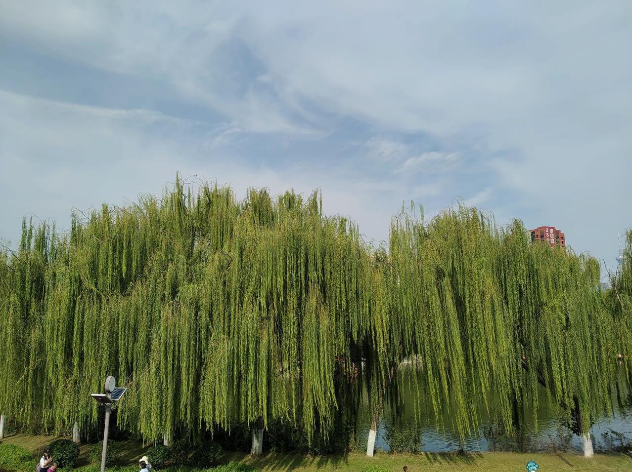 你有没有发现？
为什么人家有的作品
展现量只有两万
而点赞量却有
一千多个甚至到