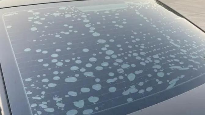 后挡风玻璃膜起泡？三招教你轻松解决