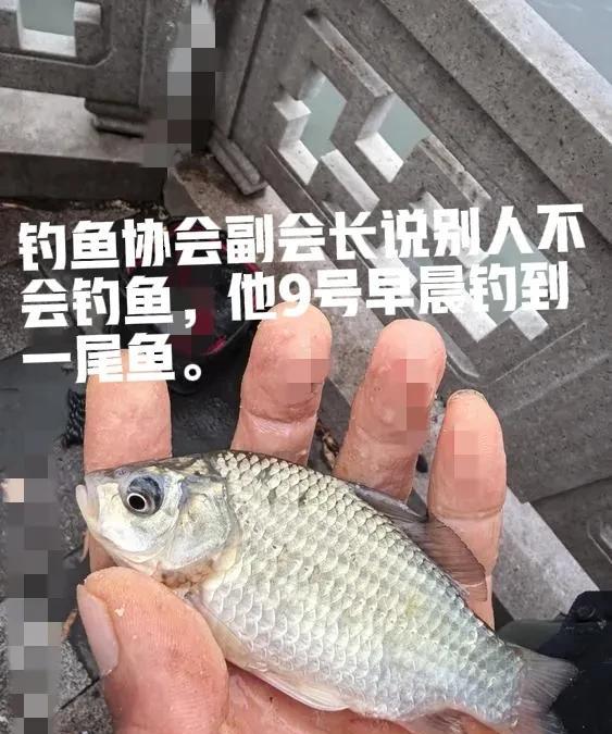说别人“不会钓鱼”的那位身份我查清楚了——他是xx市钓鱼协会副会长，某运动学校的