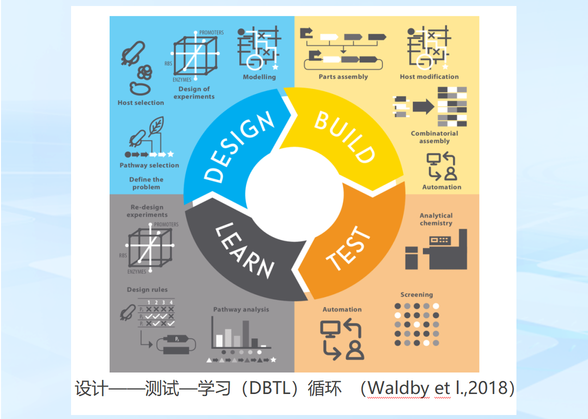 智能基因拼接：赋能生命科学研究高效推进