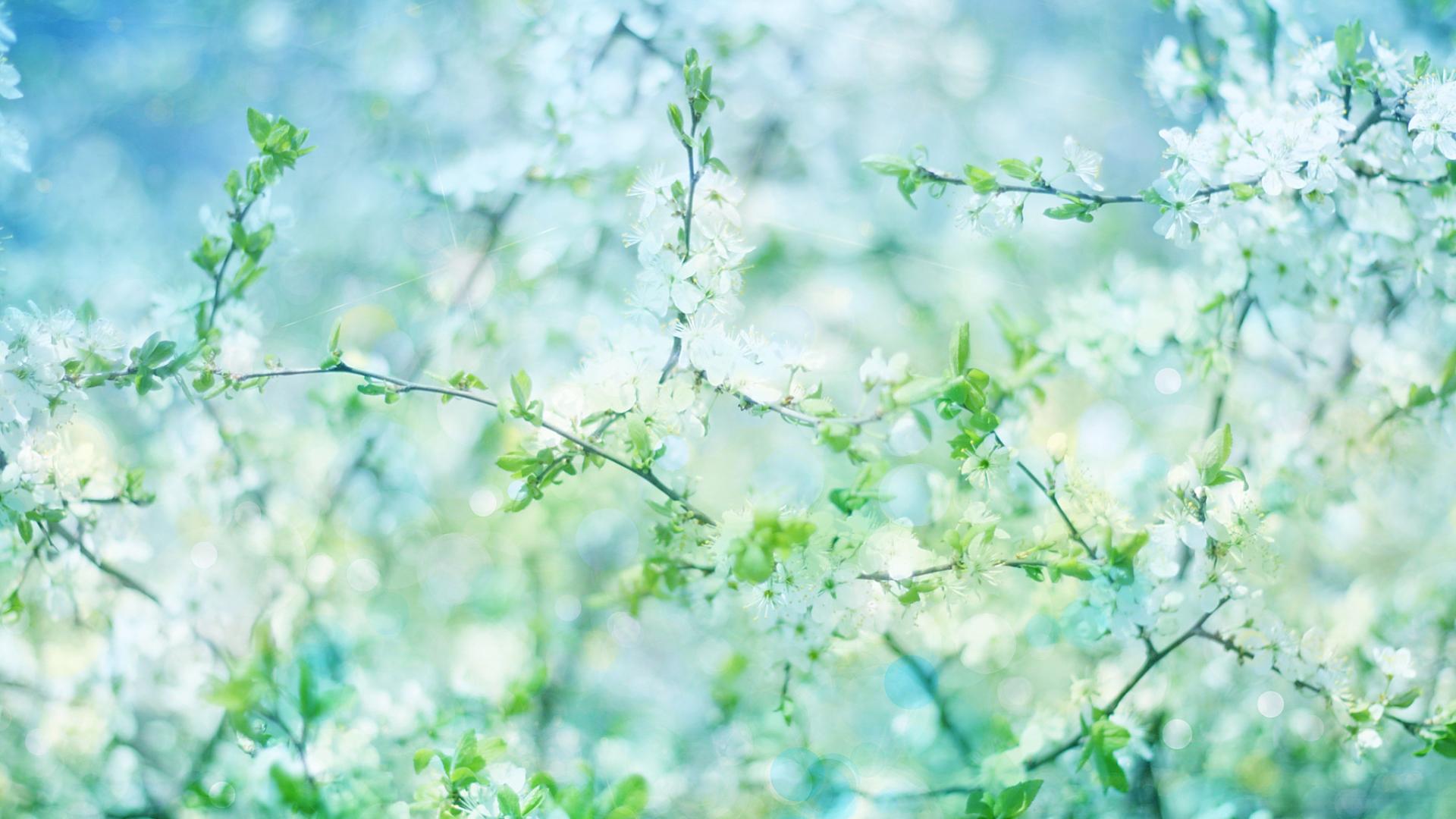 低质量的婚姻，还有继续的必要吗？