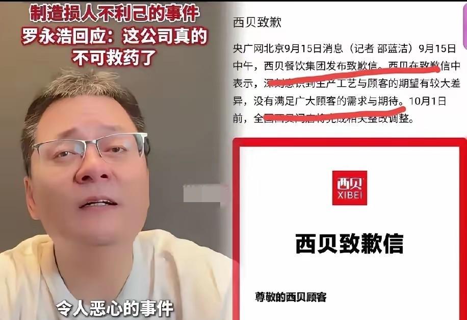 一睁眼，
西贝合伙人樊大卫“出名”了。
别家企业出问题，合伙人忙着公关挽回形象，