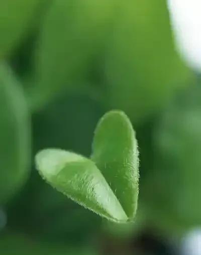 王姐很自卑，因为她儿子38岁了还没有结婚。也不是不想找，主要是懒得花言巧语哄女孩