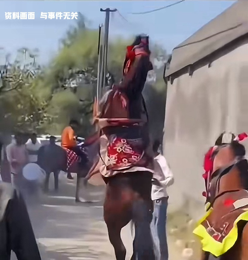 印度男子竟然性侵马匹











我的天，听到这事儿，真是让人气炸了！
