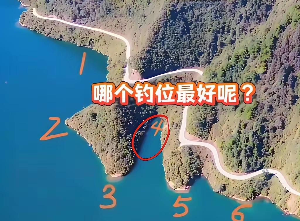 个人觉得钓大鱼应该首选1。