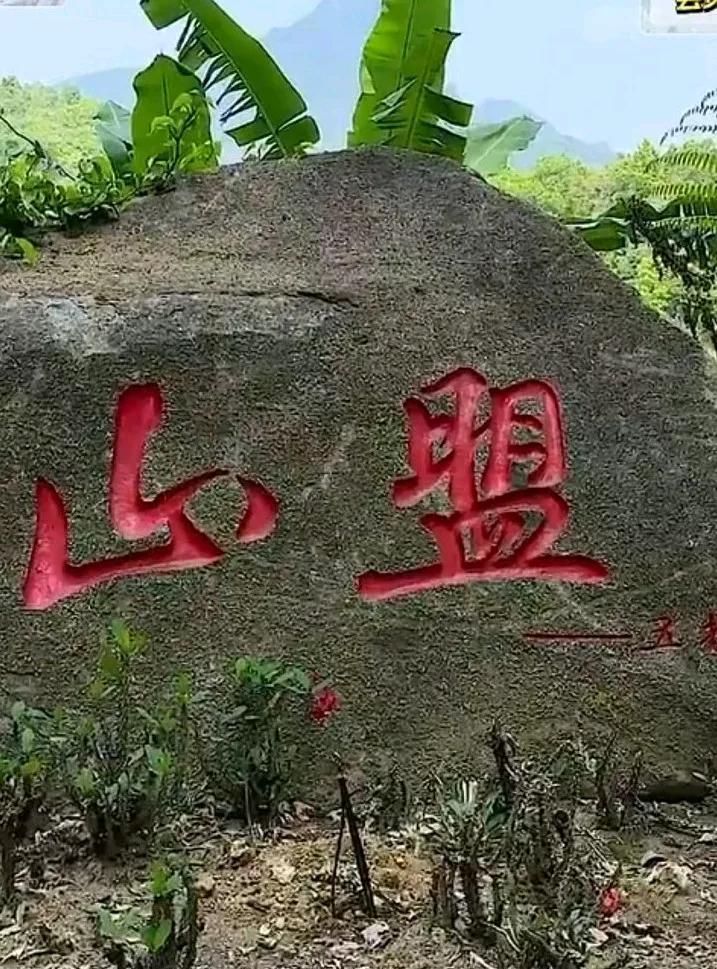 刷到一位远嫁女儿的妈妈在婚礼上对女儿说的话，瞬间泪目，我想等我的女儿结婚时我也会