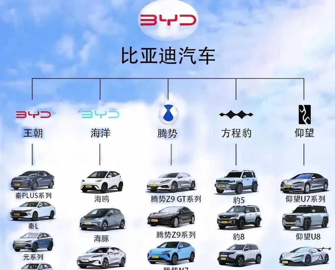 比亚迪这么多款车 有你钟爱的吗【来自懂车帝车友圈】