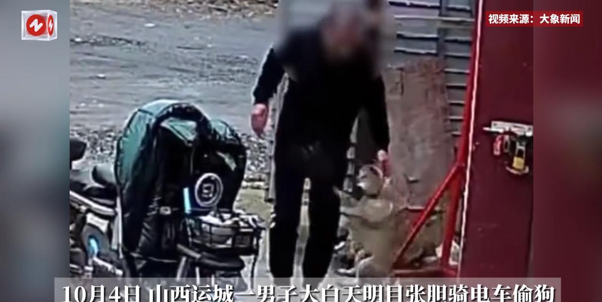 “必须严惩！”10月4日，山西运城，一男子在光天化日之下，竟然跑到别人家里偷狗，