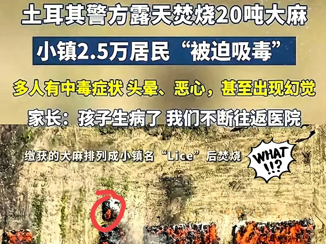 土耳其警方处理20吨大麻，直接倒上226升柴油点火烧掉，没想到却烧出了大麻的副作