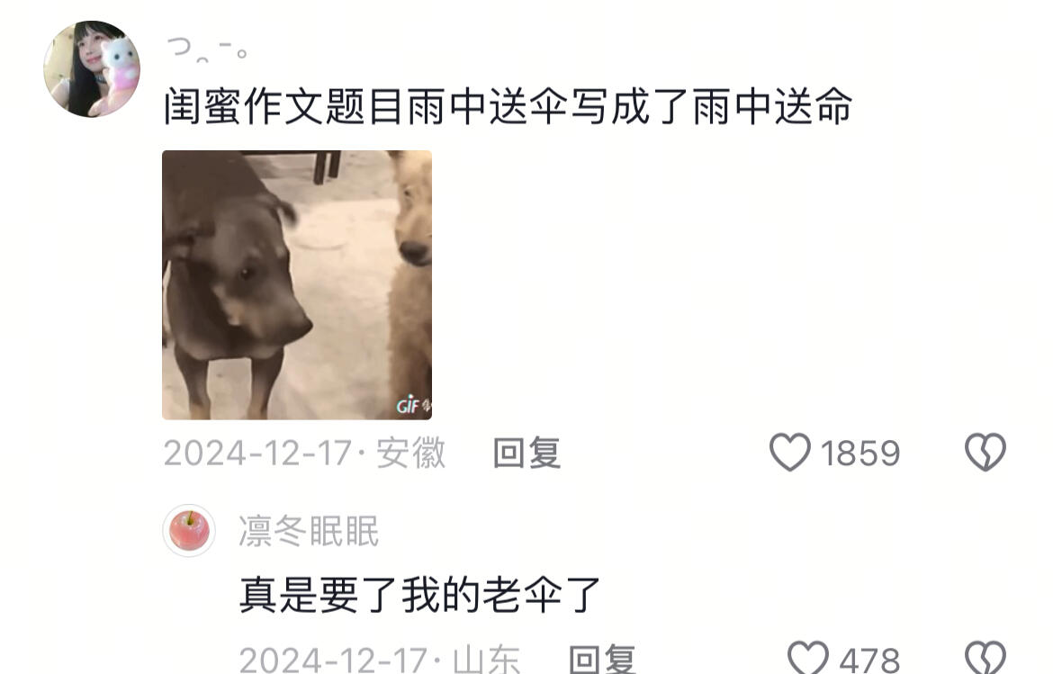 真是要了我的老伞了