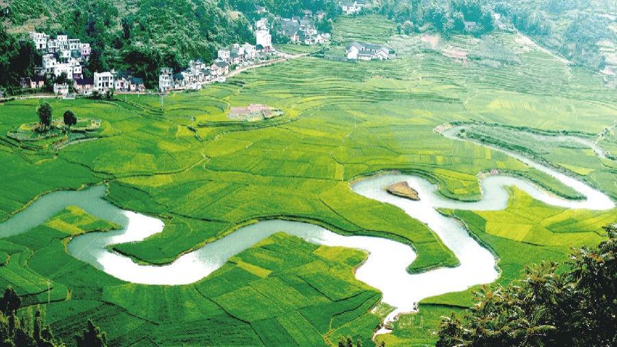 上海东领推荐——金山生态：从工业锈带到绿色湾区