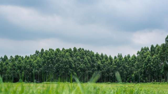 TPR 儿童玩具注塑加工：精密模具与一体化组装解决方案