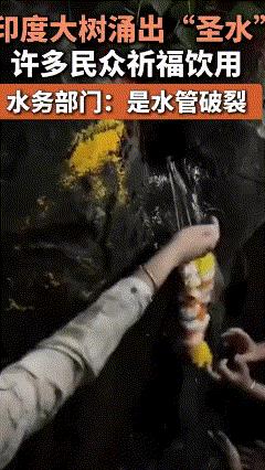 印度“神树”涌出甘泉，民众纷纷抢夺“圣水”，水务部门：水管破了
据印媒10日报道