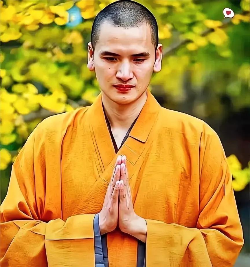 释明心这一巴掌
打得释永信太疼了！
释明心: 80后出家和尚的真实模样与释永信不