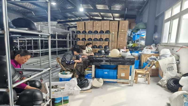 阜南县张寨镇：政企合力“枫杨树”下画好乡村振兴“同心圆”