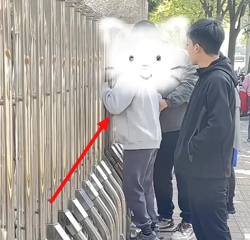 高考期间总能看到让人心酸的一幕，
今天路过一所学校，
看到一考生差点急得给监考老