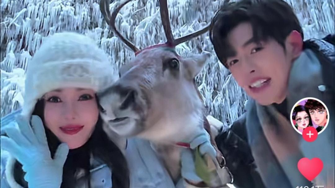 抖音爆款破110万点赞！长白山“呦呦鹿鸣”带火吉林雪季