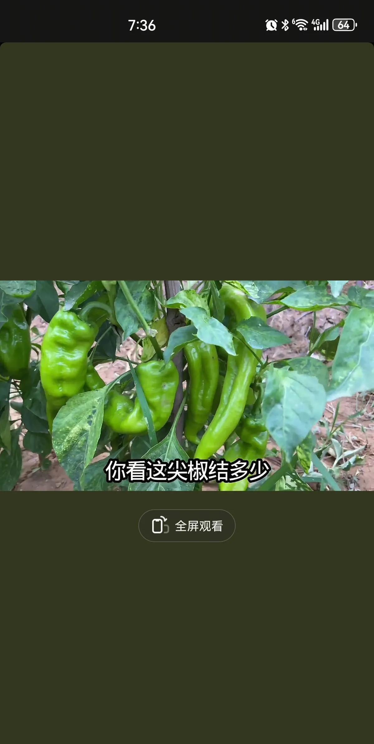 那婚丧嫁娶的对联喜字都是他写
那嫁接枣树的活都是他干
那家里的小菜园都是他种
但