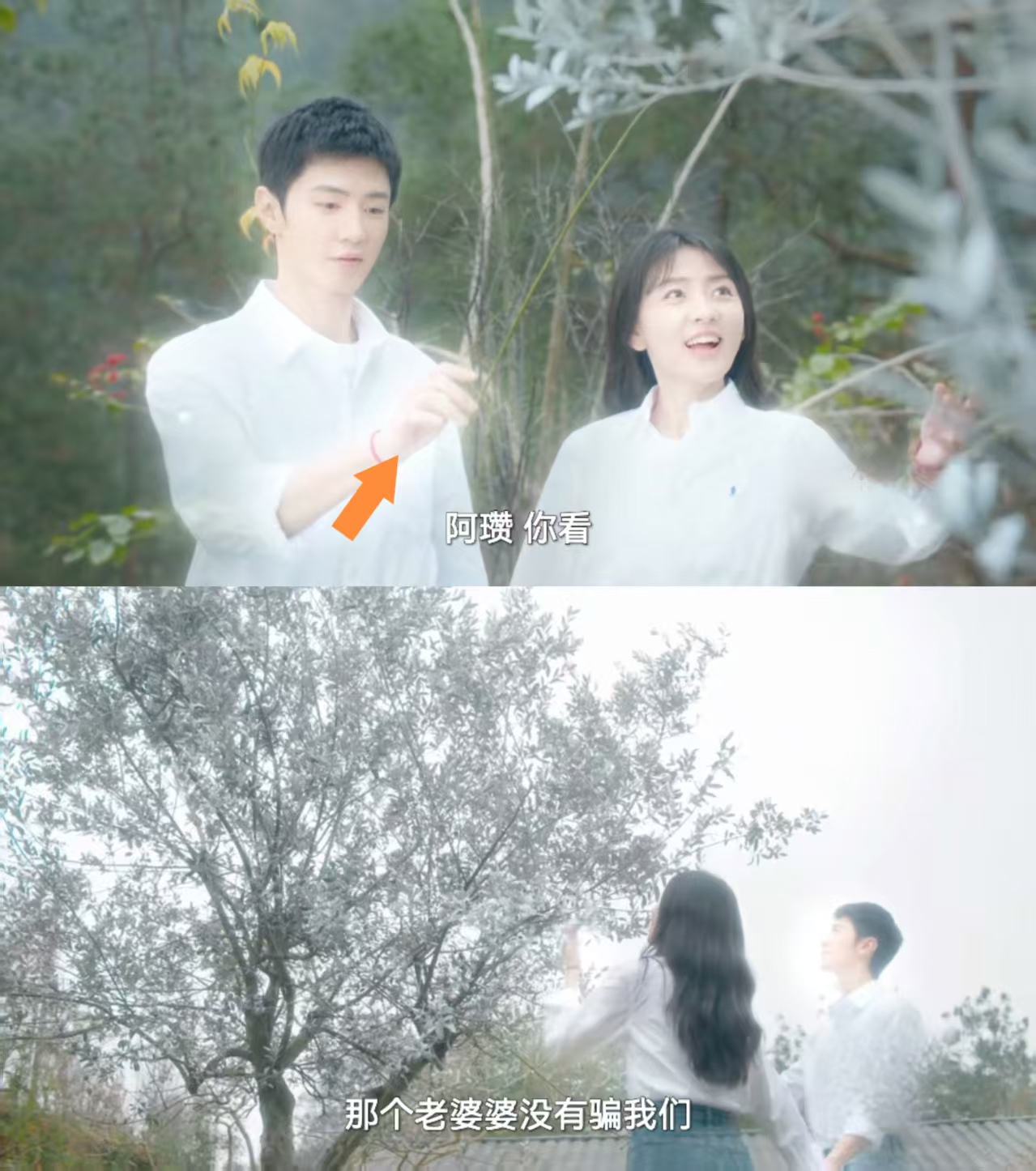 《白色橄榄树》大结局是什么意思？