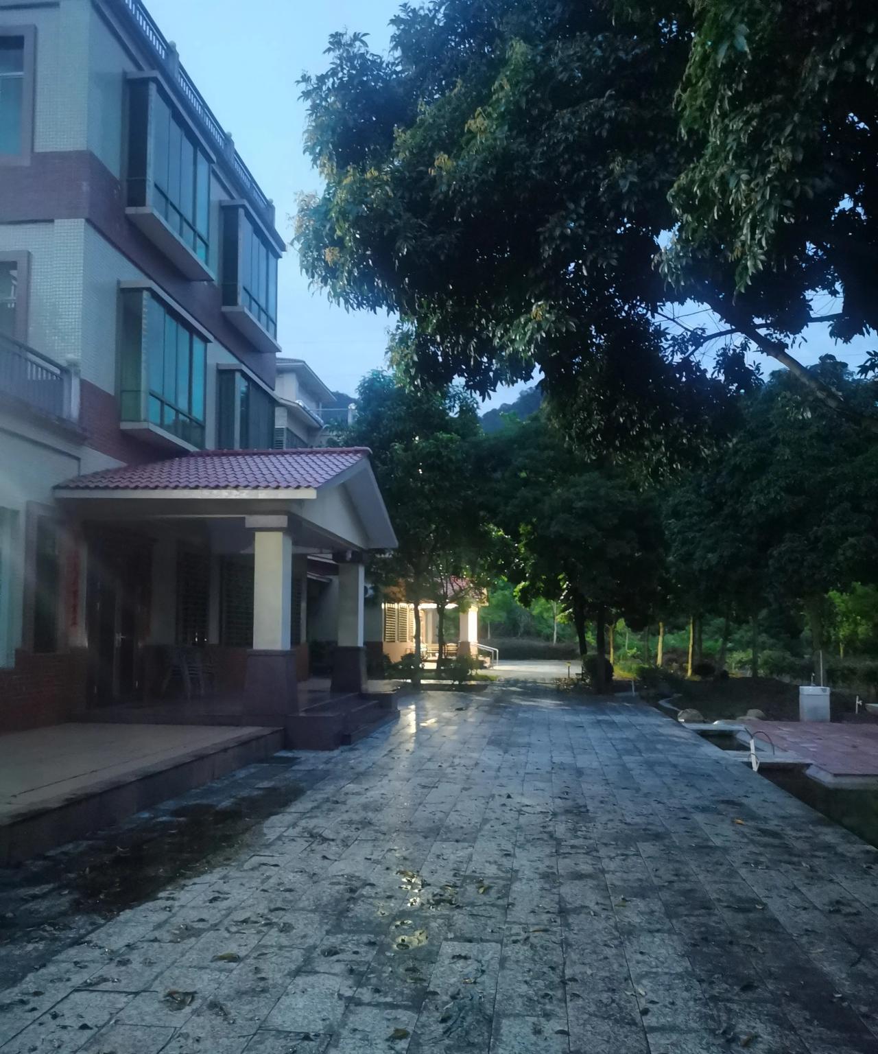 在乡下住了半年，
明天就要回广州了，
这半年过得还行，
陪了父母，
为他们做了一