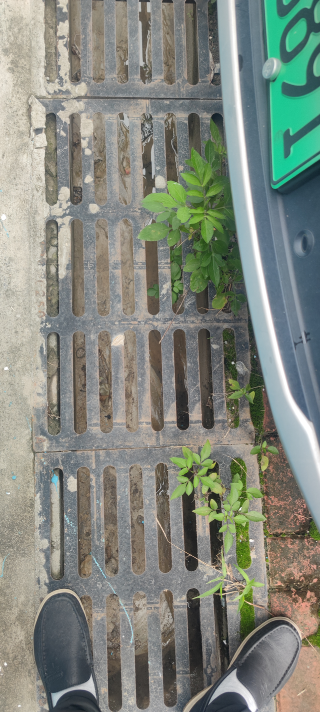 一年多电动尾门螺丝掉了2个
开了一年多点，总里程1万6千，市区工况。刚做完2保没