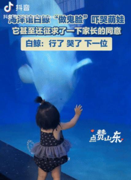 这是成精了？山东德州，一家三口去海洋馆看白鲸，出于好奇，孩子目不转睛的看着白鲸，