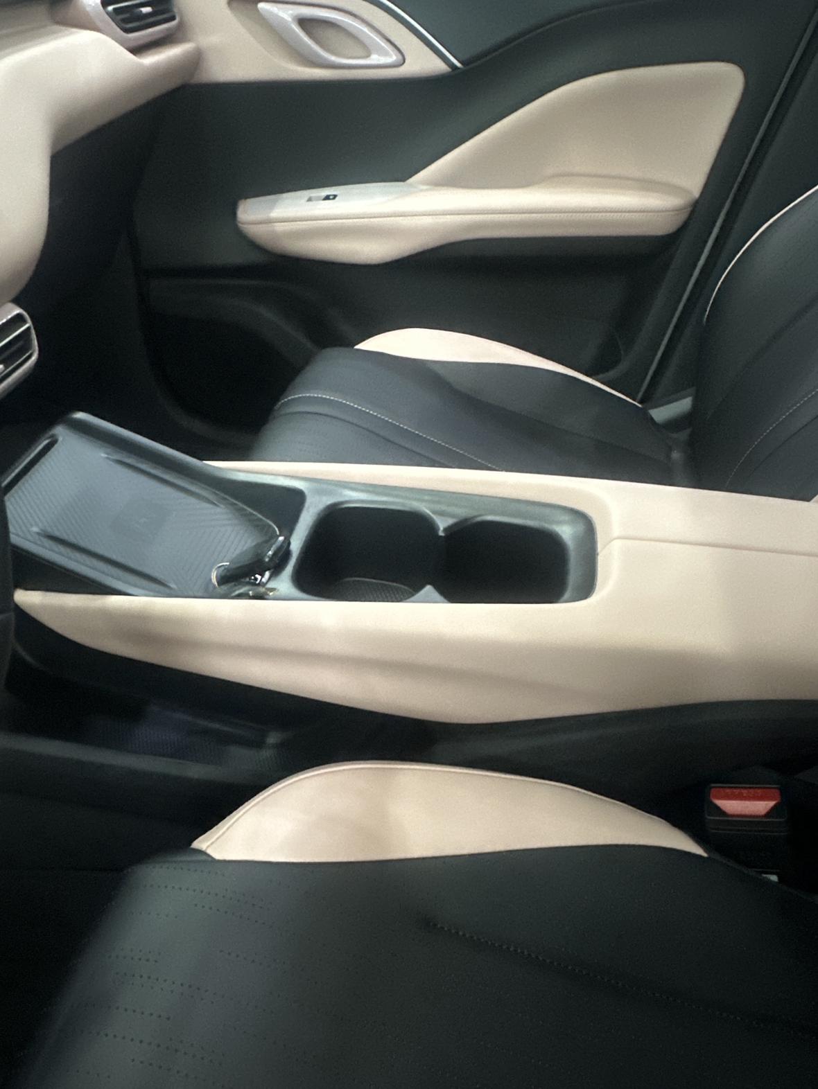 可爱又安全的小海鸥