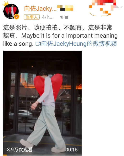 感觉向佐总有很多
稀奇古怪的造型
为了事业也是拼了
发型看上去比以前的好看许多