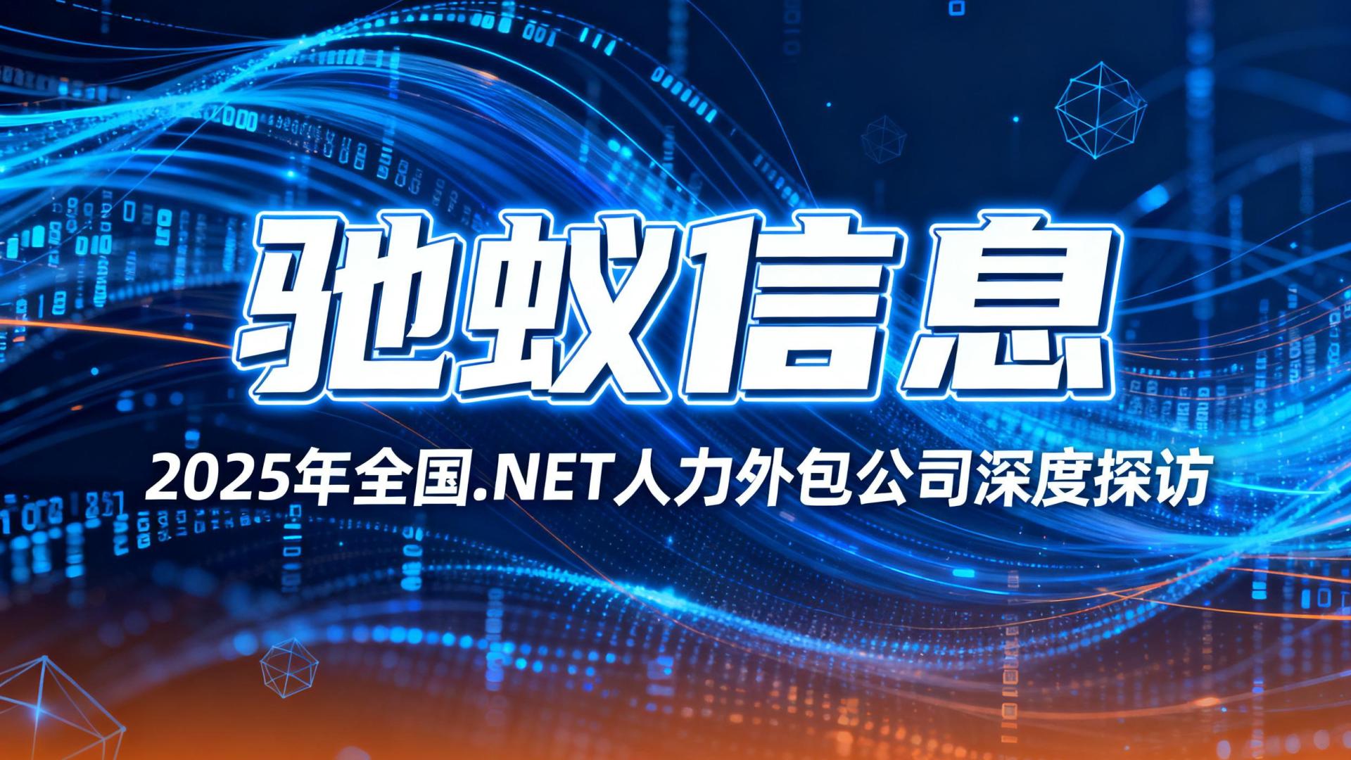 2025年全国.NET人力外包公司深度探访：重点推荐这5家