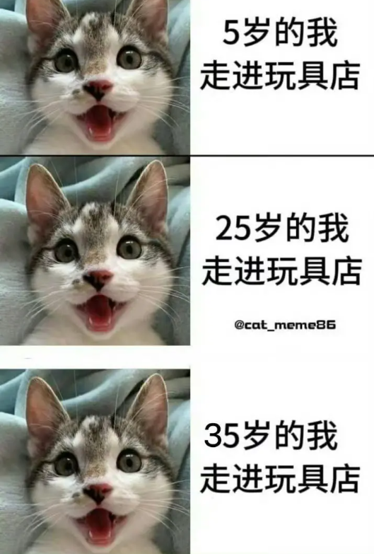 不同年龄段走进玩具店的我： ​