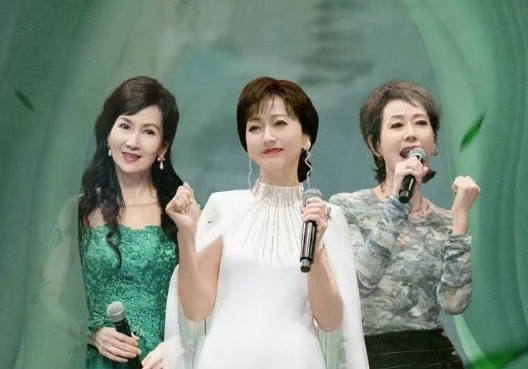 叶童，赵雅芝，陈美琪三人发展现状
赵雅芝，三个儿子，大儿子黄光宏48岁，二儿子黄