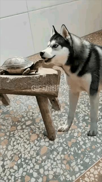 一次亲密接触，终身痛的教训。