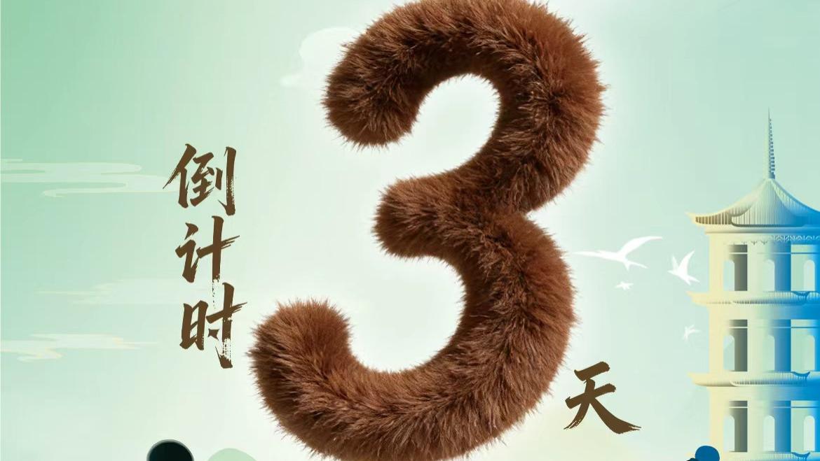 【倒计时3天】宋韵三城·诗路同行 乘高铁，赴常山宋诗之约