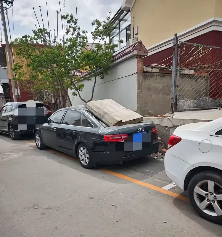 北京这一阵狂风
我最欣赏的
不是事前防范的各位领导
也不是那些什么都准备好