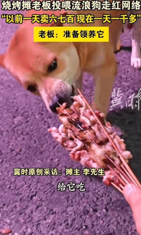第一次见凭乖本事吃饭！”重庆，一烧烤店老板看到流浪狗比较乖天天投喂它，其实这边有
