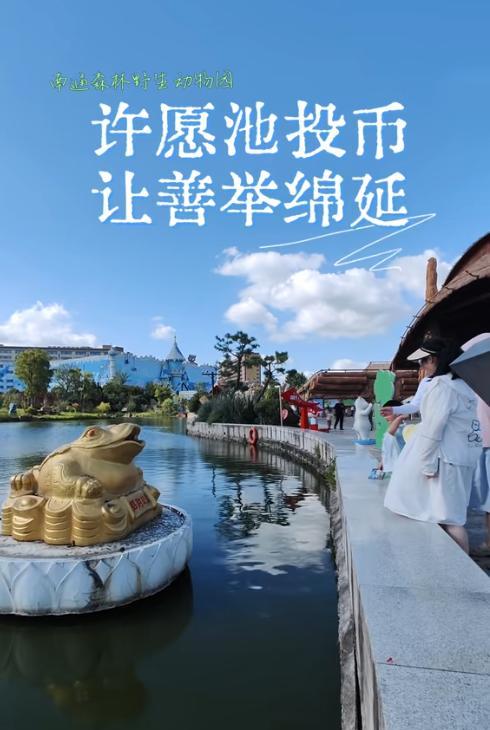真没想到，
南通动物园彻底慌了，
好不容易把许愿池的金币捐了，现在又要满了！
有