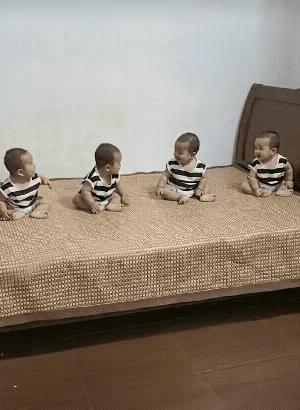 家里新添了四个小股东，他们在床上兴致勃勃地研究家庭未来的发展趋势，讨论得十分热烈